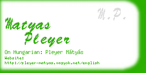 matyas pleyer business card