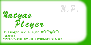 matyas pleyer business card